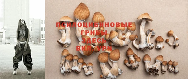 дживик Балабаново